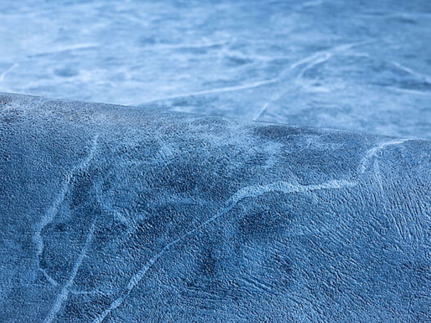 Liner Alkorplan ALIVE