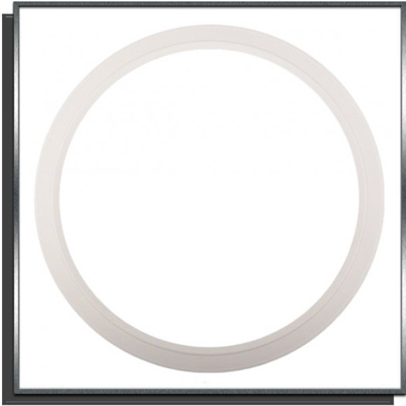 Enjoliveur Cache Vis Spot  Hayward