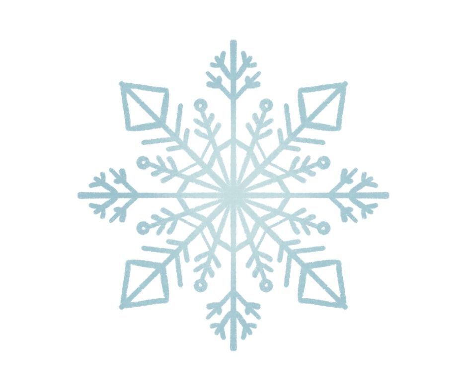 Anti-sneeuw overwinteringskit 4-seizoensafdekking (1 inox kabel + 2 kabelbinders + 2 spanners)