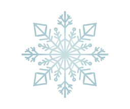 [Kit d’hivernage Anti-neige] Anti-sneeuw overwinteringskit 4-seizoensafdekking (1 inox kabel + 2 kabelbinders + 2 spanners)