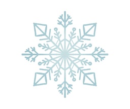 [Kit d’hivernage Anti-neige] Kit D’Hivernage Anti-Neige Tout Temps(1 Câble Inox + 2 Serre-Câbles + 2 Tendeurs)