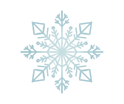 [Kit d’hivernage Anti-neige 3044030104] Kit D’Hivernage Anti-Neige Tout Temps (1 Câble Inox + 2 Serre-Câbles + 2 Tendeurs)